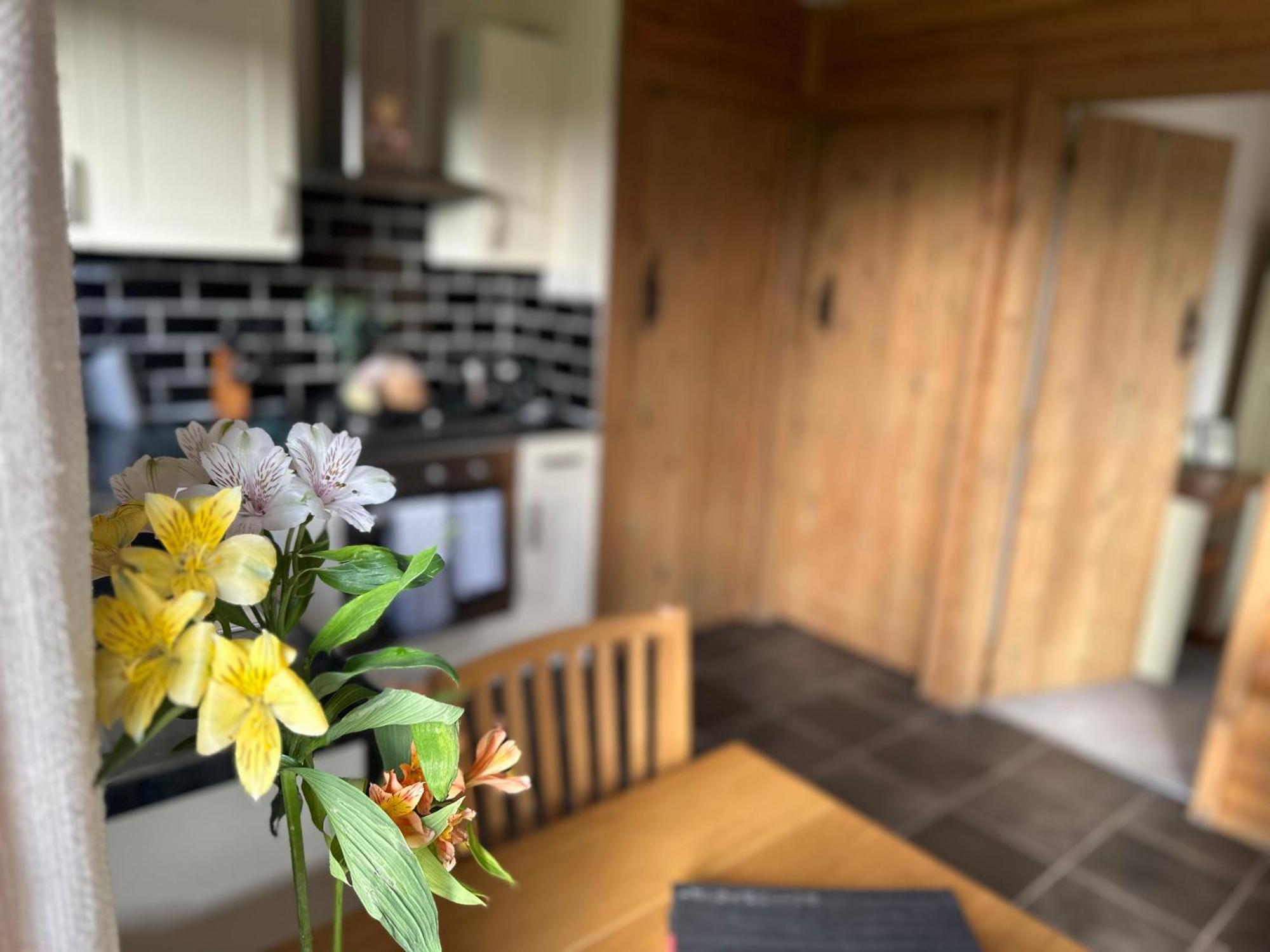 Swansea Log Cabin Pontardawe 외부 사진