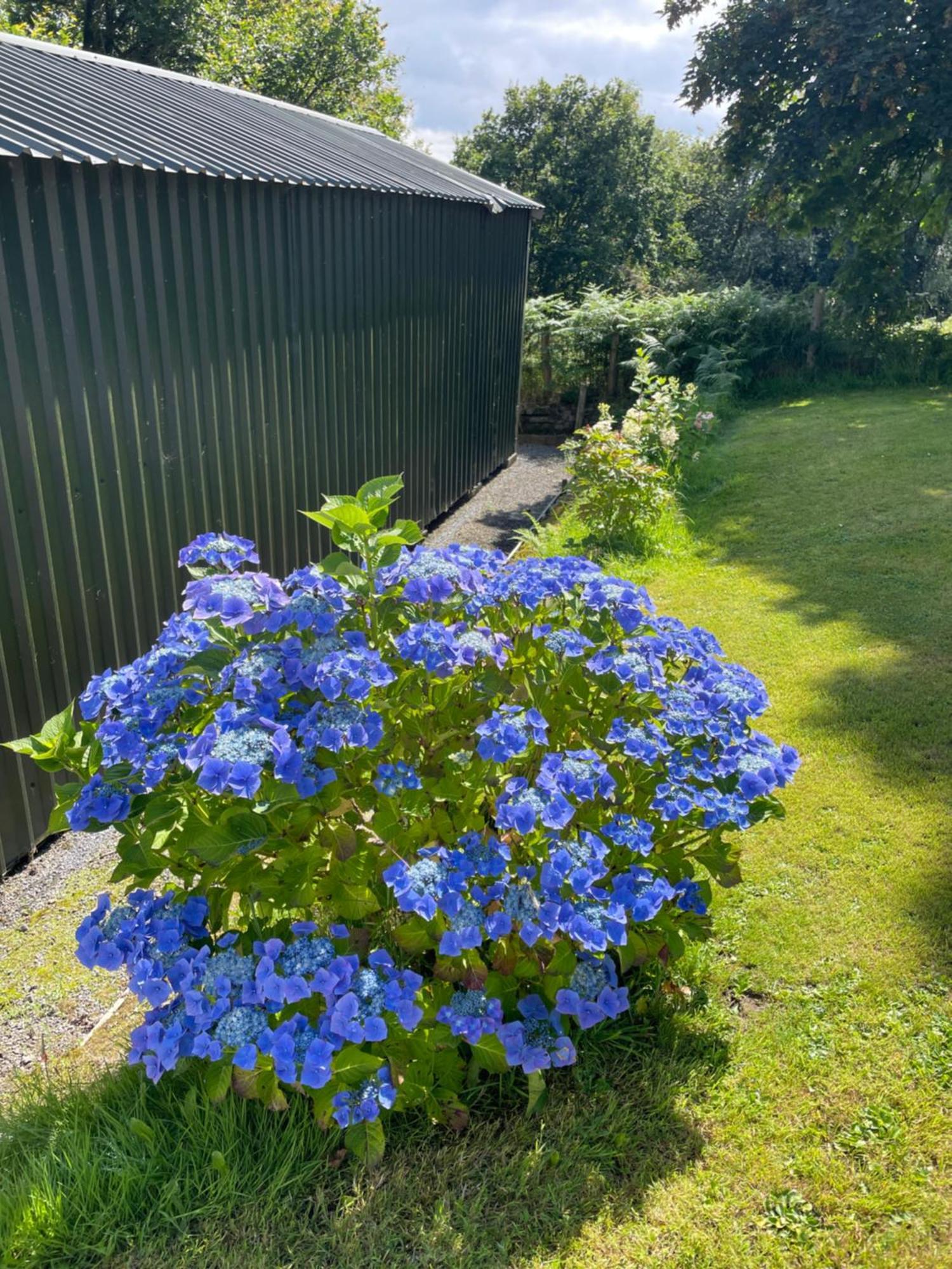 Swansea Log Cabin Pontardawe 외부 사진