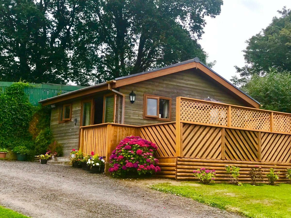 Swansea Log Cabin Pontardawe 외부 사진
